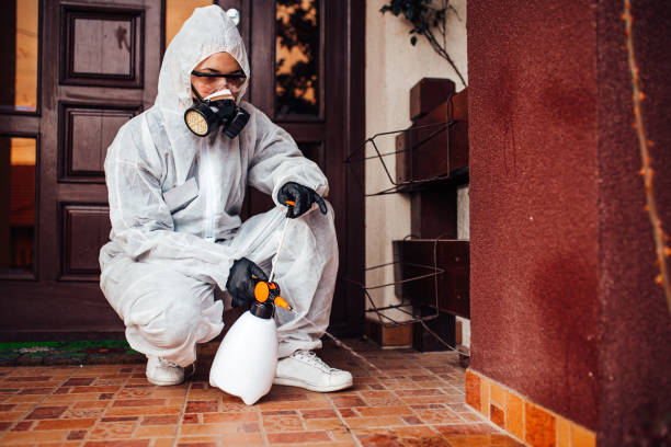 Reliable Bed Bug Control contractor in Black Diamond, FL by Nex Pest Control